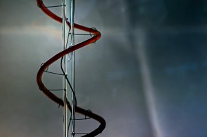 Stairway to Heaven - abstract macro light filament