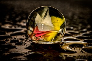 Flamingo - Marble in Rain