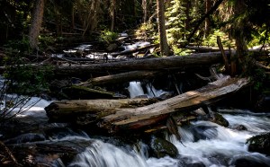 Rush - Lower Cataract Lake CO