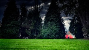 Above the Locks - Carl S English, Jr. Botanic Garden, Seattle