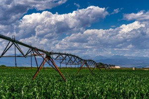 Fruited Plain - Erie CO