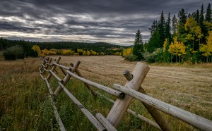 Split Rail - Boulder County CO