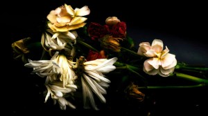 Wedding Song: Abstract Flowers