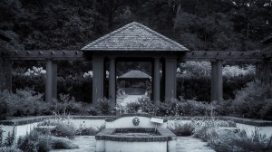 Sanctum: Reynolda Village