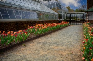 Brown Conservatory - Reynolda Gardens